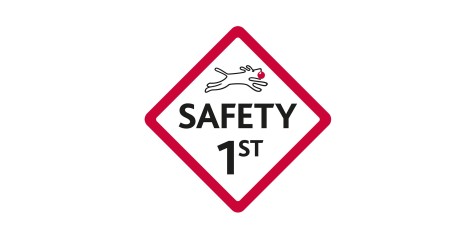 Logo Safety First
